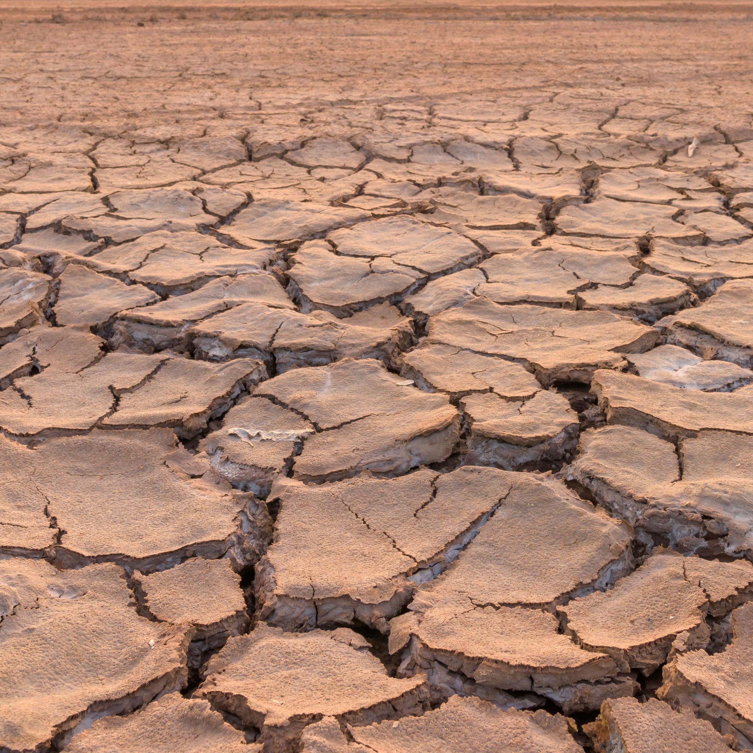 drought land