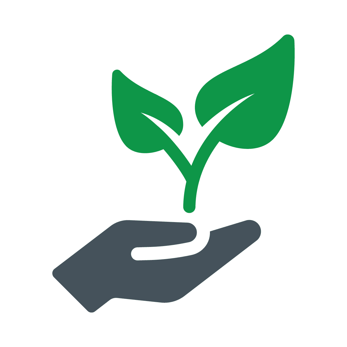 Biomass_Solutions (29)